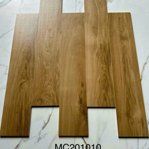MC201010