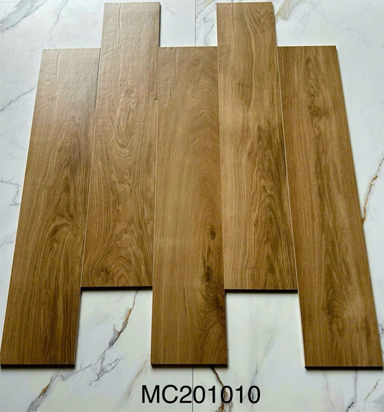 MC201010