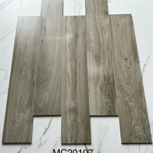 MC20107