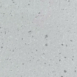 MK366551