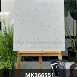 MK366551