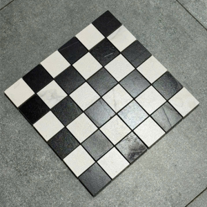 MS005