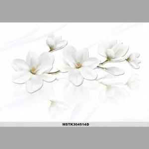 Gạch ốp tường 30x45 Toko Ceramic MSTK-304514D