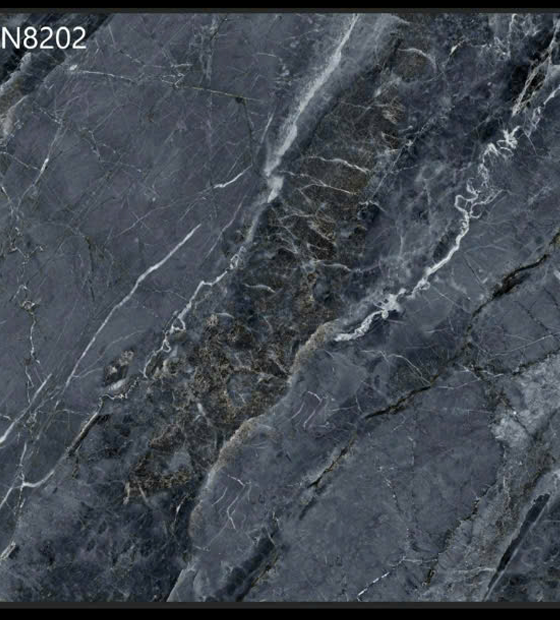 N8202