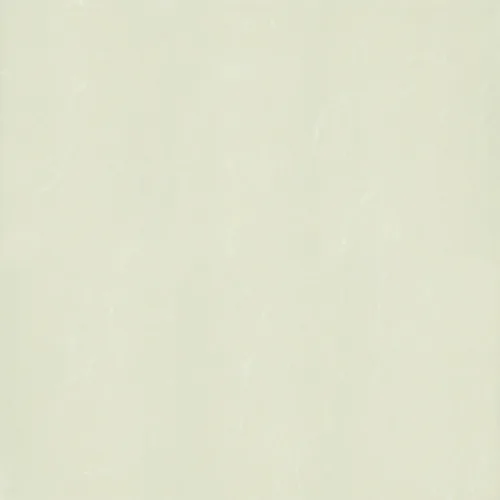Gạch lát nền 60x60 Taicera P67763N