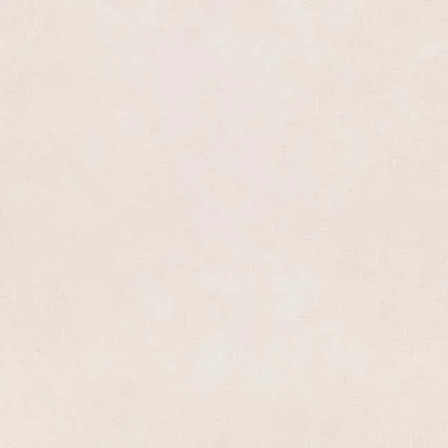 Gạch lát nền 60x60 TTC Ceramic PM66004