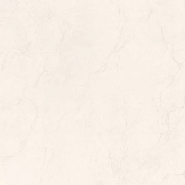 Gạch lát nền 60x60 TTC Ceramic PN66026