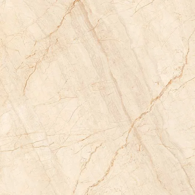 Gạch lát nền 60x60 TTC Ceramic PN66027