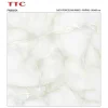 Gạch lát nền 80x80 TTC Ceramic PN88004