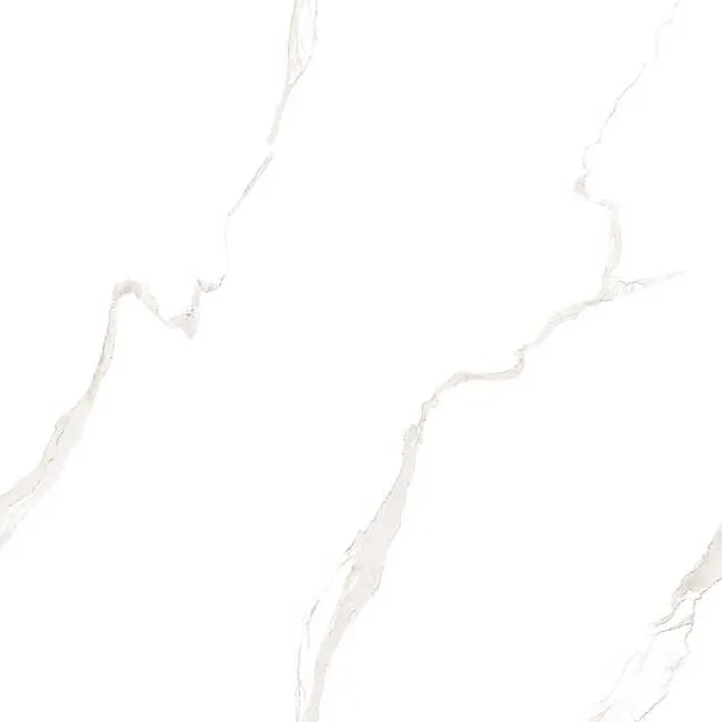 Gạch lát nền 80x80 TTC Ceramic PN88008
