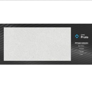 Gạch ốp lát 60x120 CMC giả terazzo ghi sáng PPM6012002S3