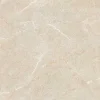 Gạch lát nền 60x60 TTC Ceramic PS66003