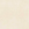 Gạch lát nền 60x60 TTC Ceramic PS66004