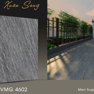 SVMG4602