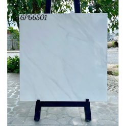 Gạch Ốp Lát Taicera 60×60 GP66501 bóng