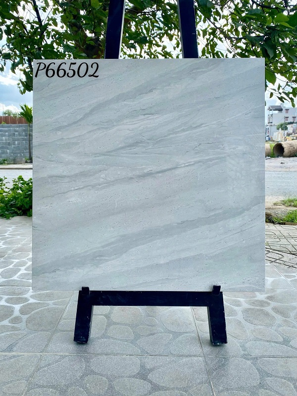 Taicera GP66502 Gạch Ốp Lát Taicera 60×60 P66502 bóng