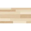 Gạch ốp tường 30x60 TTC Ceramic WB36003