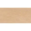 Gạch ốp tường 30x60 TTC Ceramic WB36008