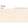 Gạch ốp tường 40x80 TTC Ceramic WB48004