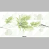Gạch ốp tường 30x60 Toko Ceramic XDD-3600